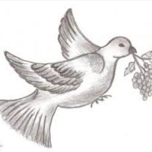 Meet Your posher, Jaz